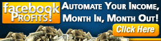 Facebook Profits - make money with facebook