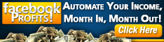 Facebook Profits - make money with facebook